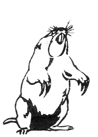 315x440 annual gallatin gopher fest still a go news