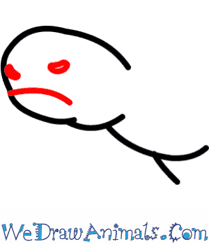 300x350 how to draw a gopher tortoise