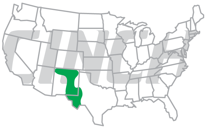 685x425 what kind of mole or gopher do i have