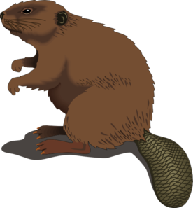 276x297 collection of free groundhog drawing gopher download on ui ex
