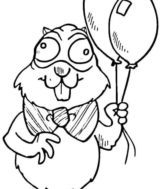 556x640 coloring pages coloring pages gopher, printable for kids