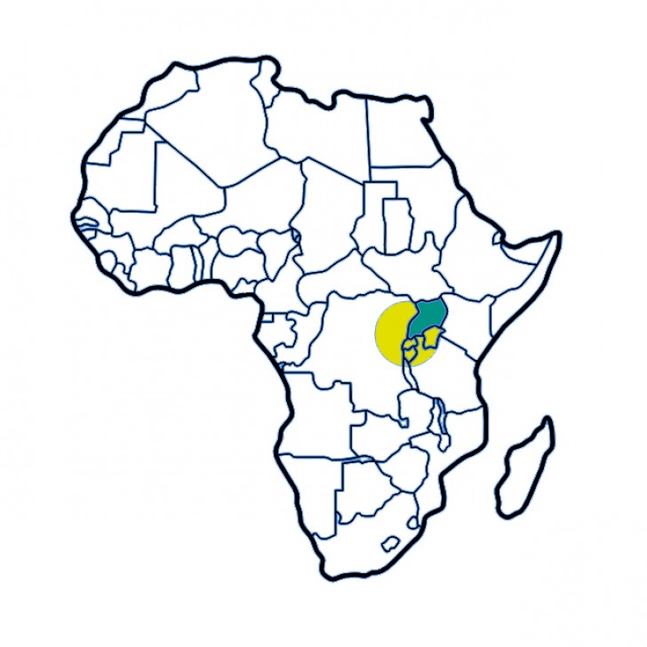 728x728 Drawing Gorillas Eastern Gorilla Transparent Png Clipart Free