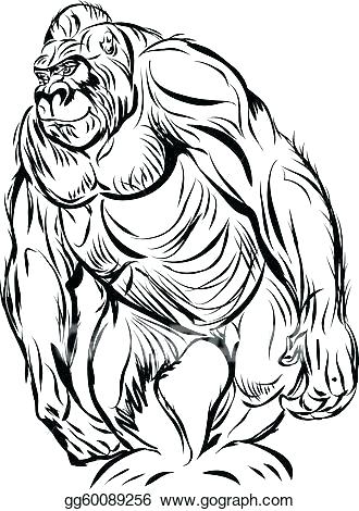 330x470 Drawings Of Gorillas Gorilla Drawings Cartoon