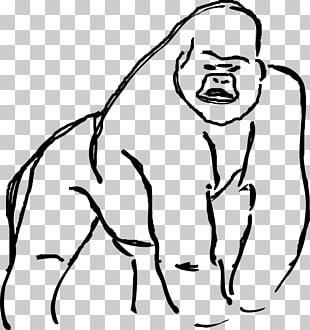 310x330 gorilla drawing gorilla png clipart free cliparts uihere