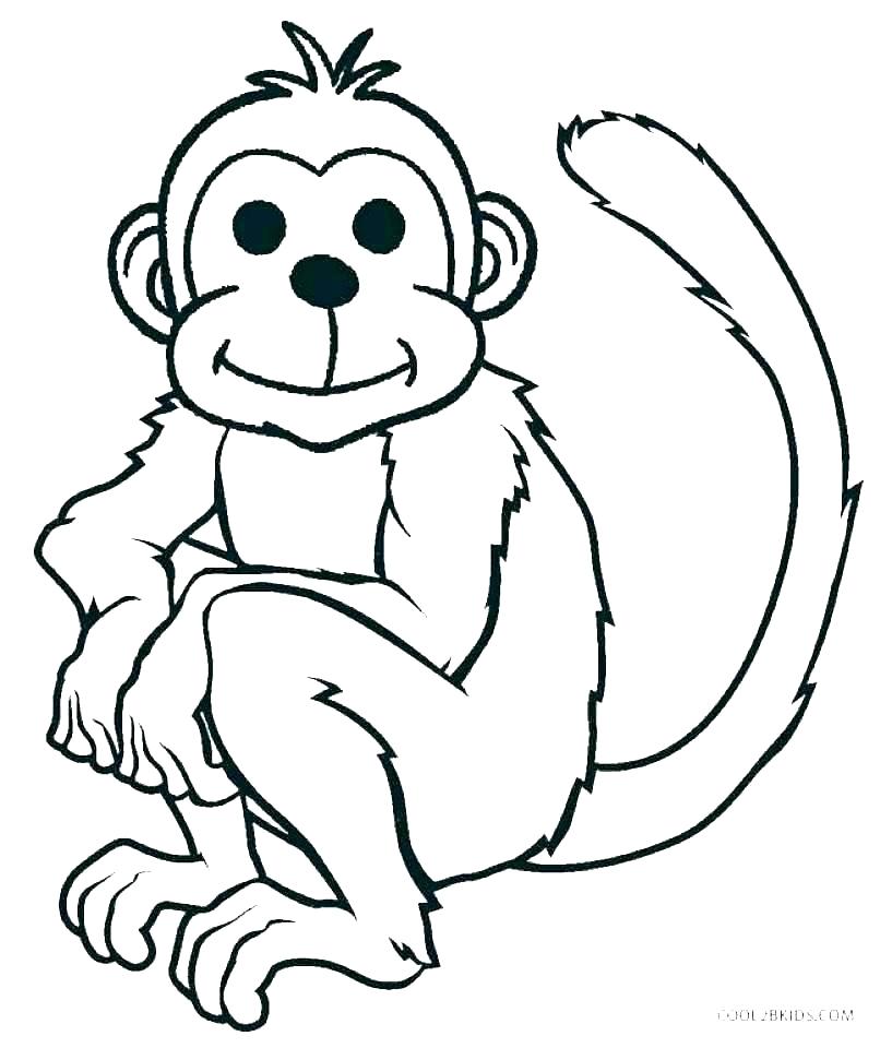 817x960 gorilla drawing at free for personal gorilla coloring pages