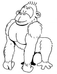 232x300 Gorilla Coloring Pages