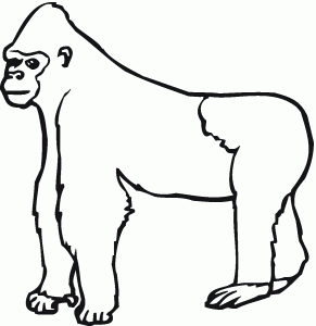 291x300 Gorilla Coloring Pages