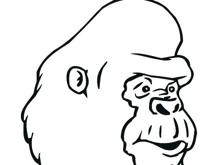 440x330 Gorilla Coloring