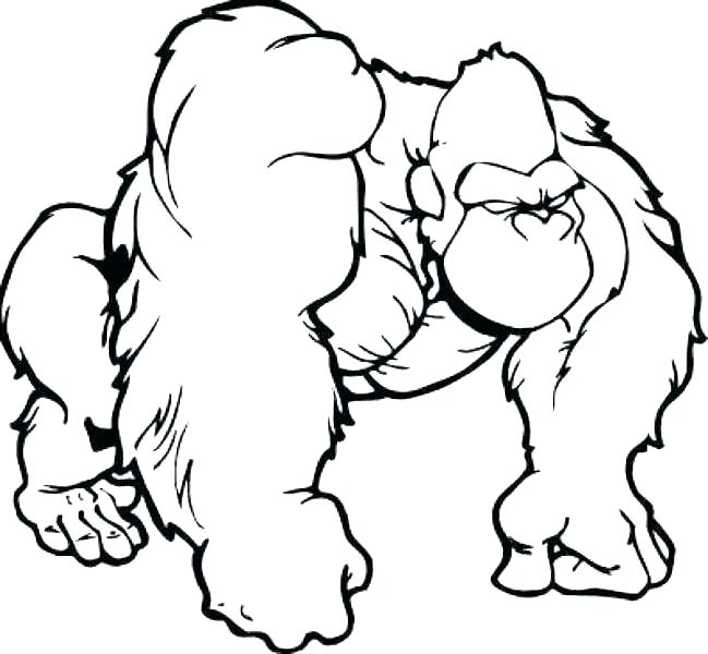 649x600 gorilla coloring pages gorilla coloring