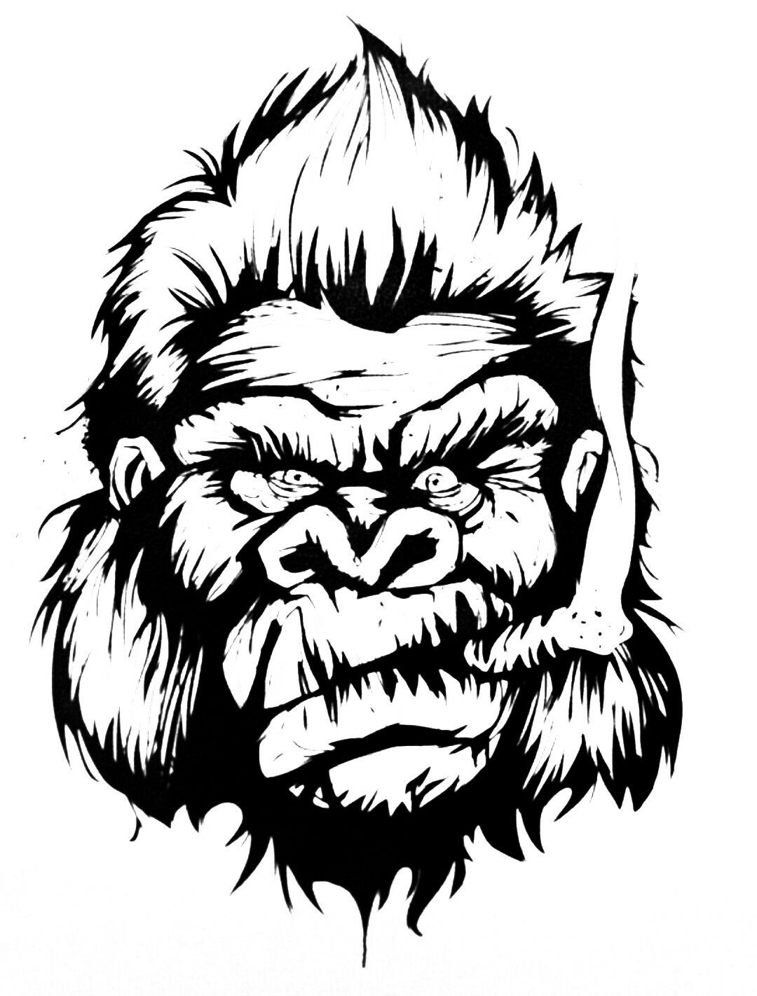 1080x1422 Gorilla