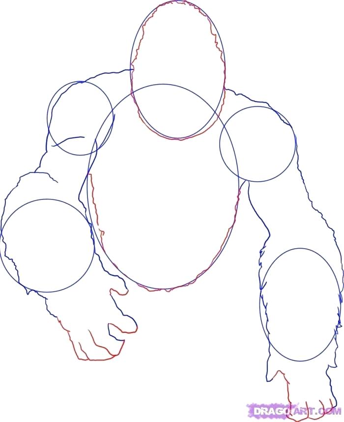 700x857 How To Draw A Gorilla Step