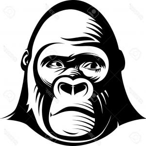 300x300 Angry Gorilla Head Monkey Face Vector Clipart Lazttweet
