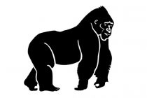 210x140 Tag Drawing Of Gorilla Head