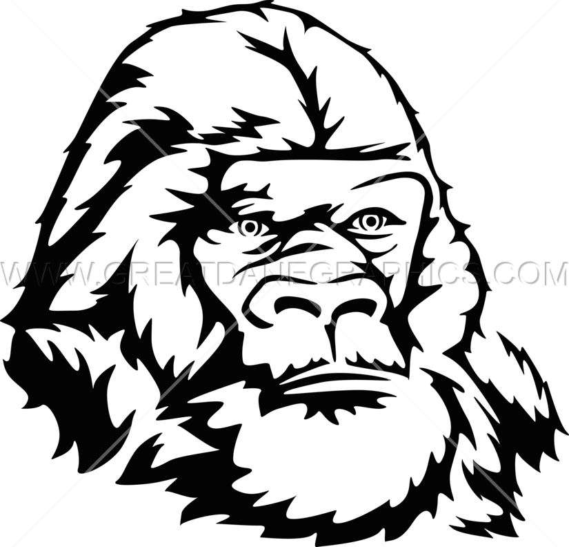 825x792 Collection Of Free Drawing Head Gorilla Download On Ui Ex