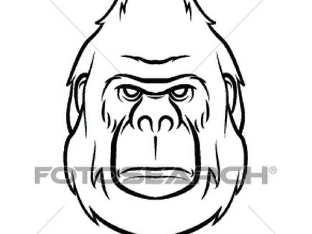 640x480 Gorilla Clipart Line