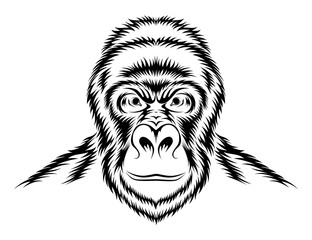 312x240 Gorilla Stock Photos And Royalty Free Images, Vectors