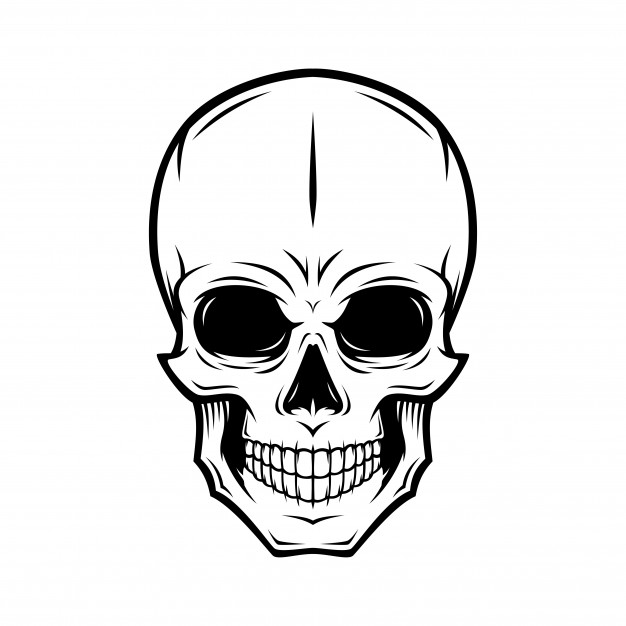 Gorilla Skull Drawing | Free download on ClipArtMag