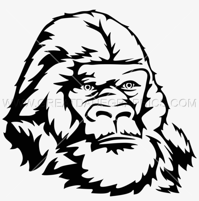 820x827 Gorilla