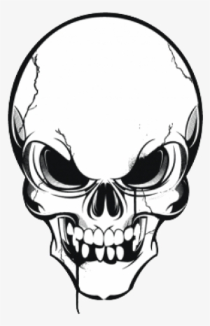 300x466 Skull Vector Png, Transparent Skull Vector Png Image Free Download