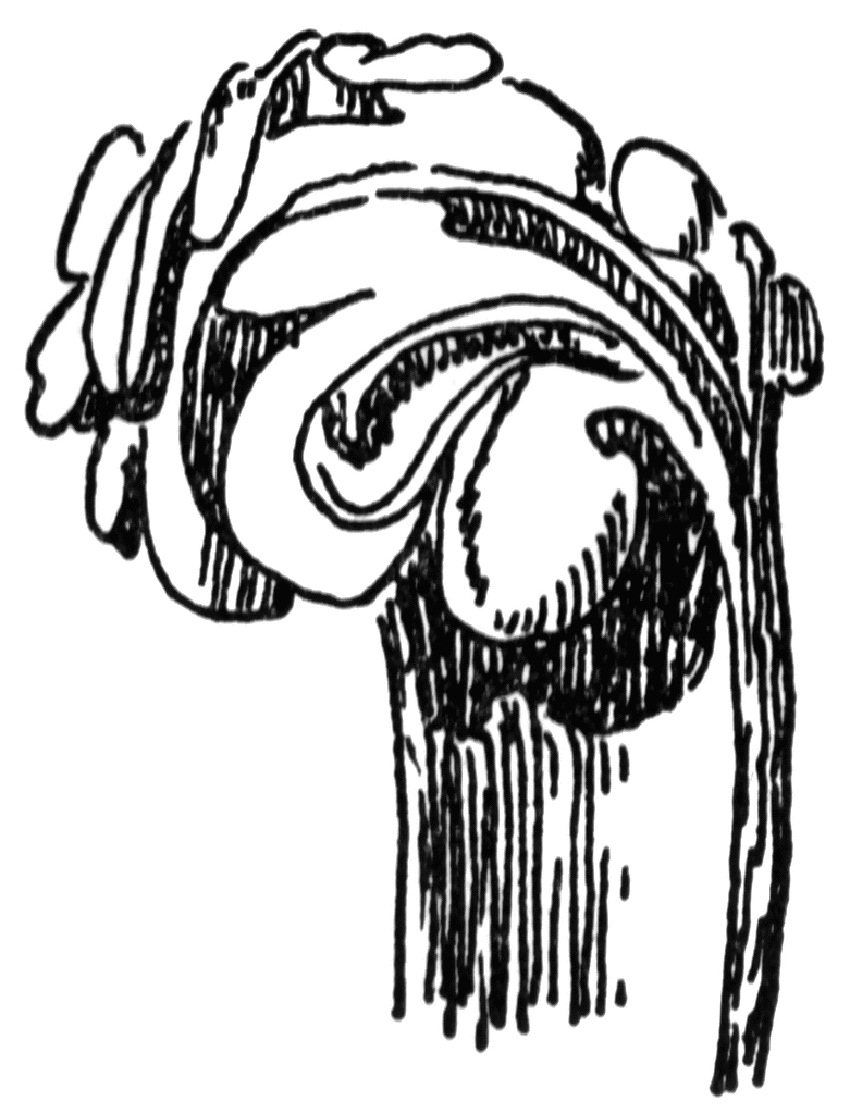 781x1024 Crocket Clipart Etc