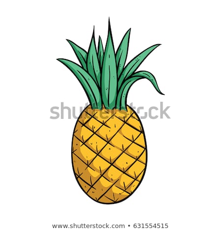 450x470 Huge Collection Of 'pine Apple Drawing' Download More Than