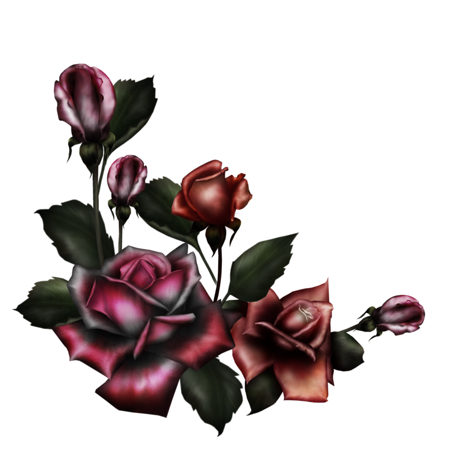 900x910 Collection Of Free Drawing Roses Gothic Download On Ui Ex