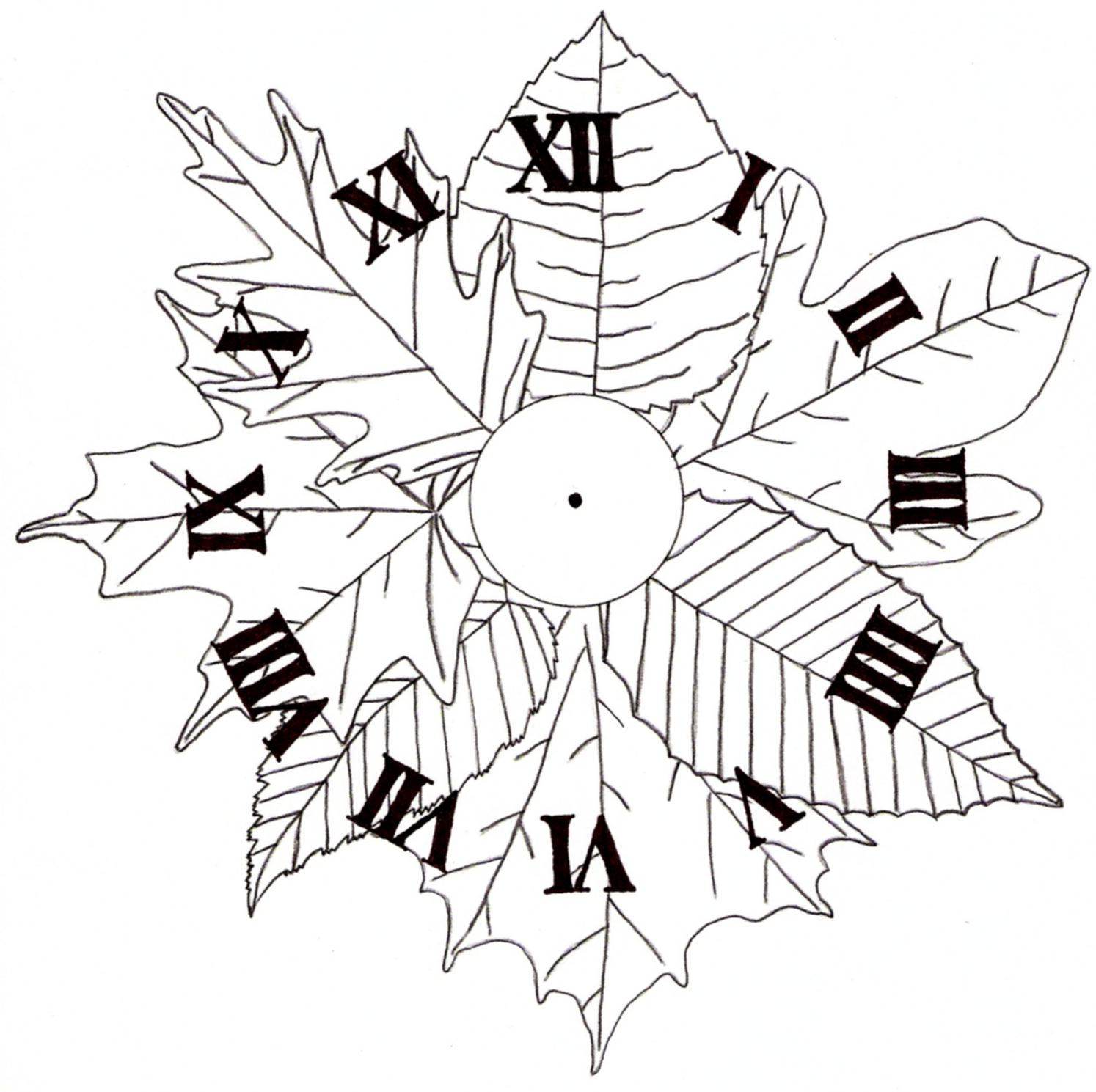 1494x1489 Gourd Craft Project