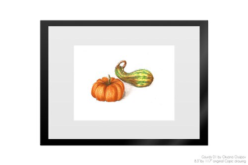 500x333 gourds original copic drawing
