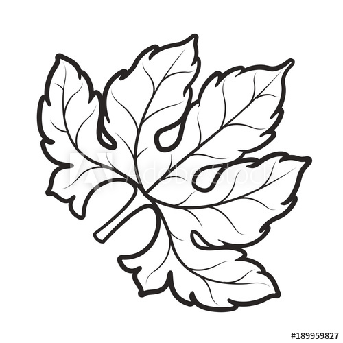 500x500 black outline bitter melon leaf vector drawing