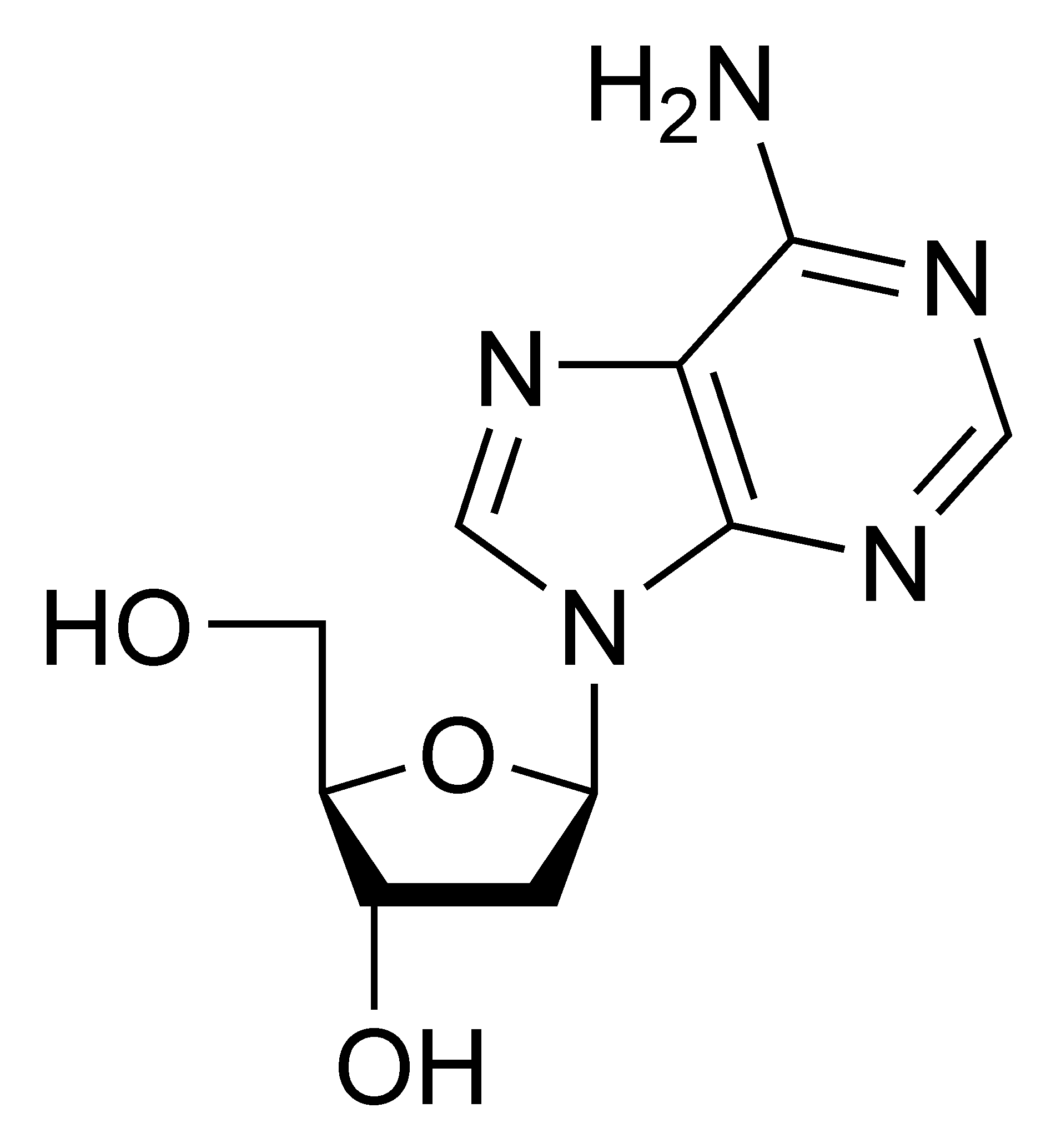 1902x2067 Fileda Chemical Structure