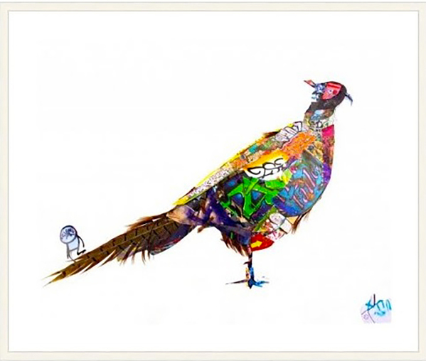 599x508 urban pheasant