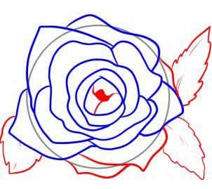 302x269 Draw Rose Petals Step Flowers Drawings, Zentangle Drawings