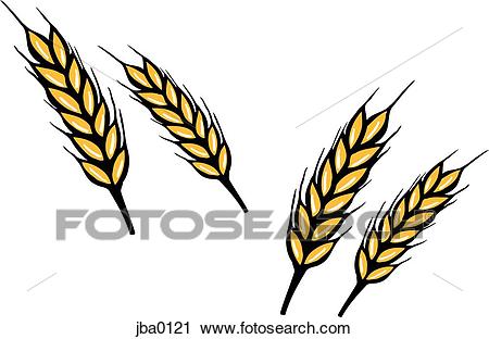450x312 Collection Of Free Grained Clipart Wheat Drawing Download On Ui Ex