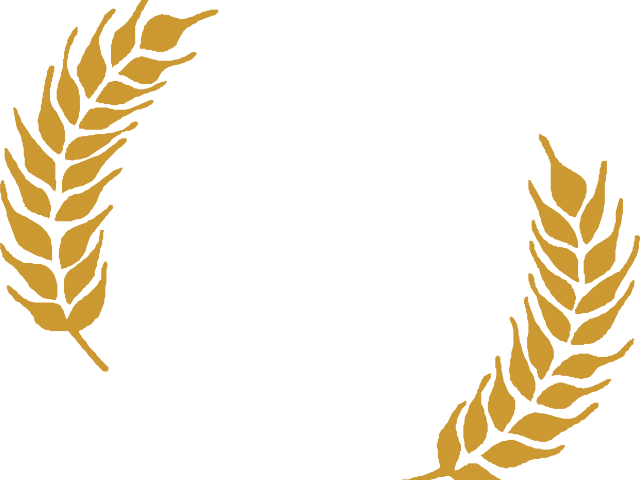 640x480 Collection Of Free Wheat Drawing Grain Download On Ui Ex