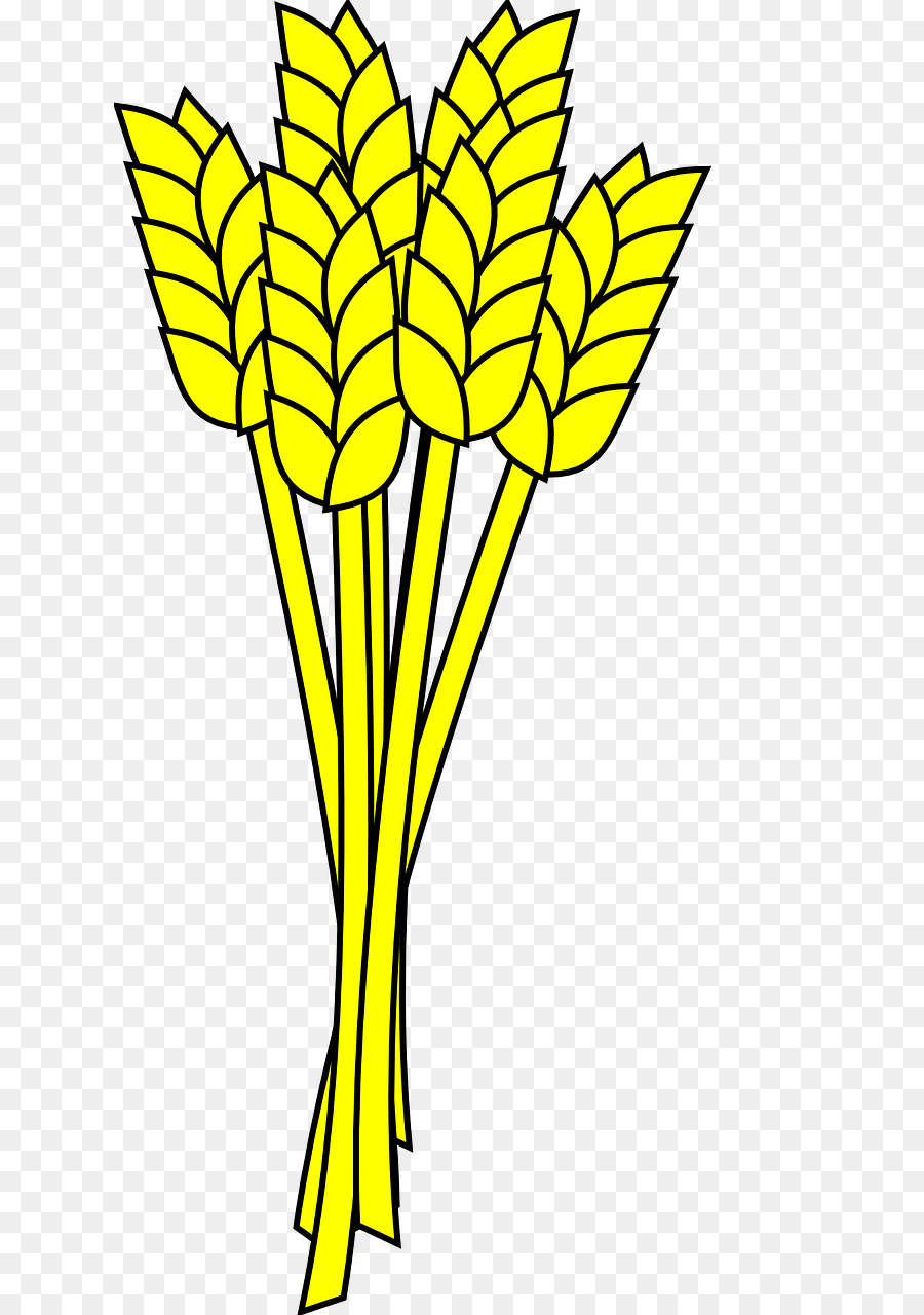 900x1280 Wheat, Graphics, Drawing, Transparent Png Image Clipart Free