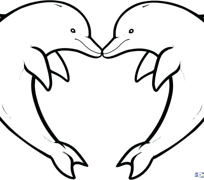 678x600 Growing Little Leaves Genealogy For Children My Amazing