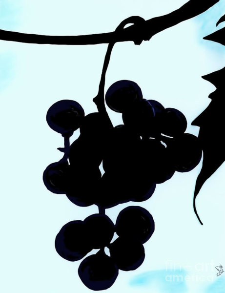 461x600 Grape Vine Drawings Fine Art America