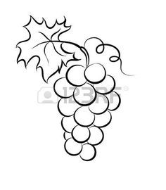 236x270 Grapes Sketch Drawing Fresh Best Vine Leaf Images