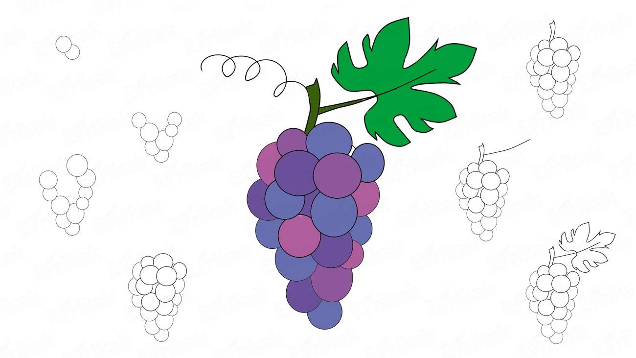 1300x731 How To Draw A Bunch Of Grapes Step