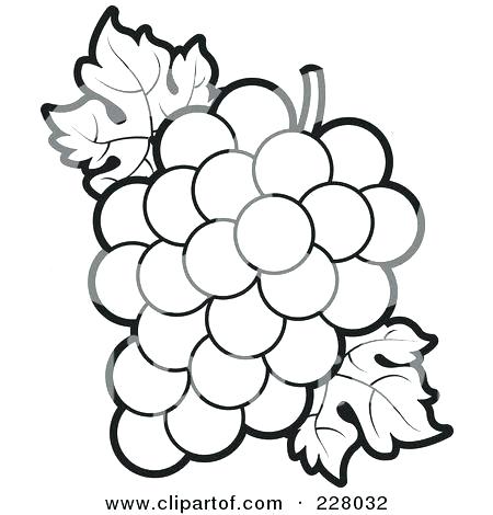 Collection of Grapes clipart | Free download best Grapes clipart on ...