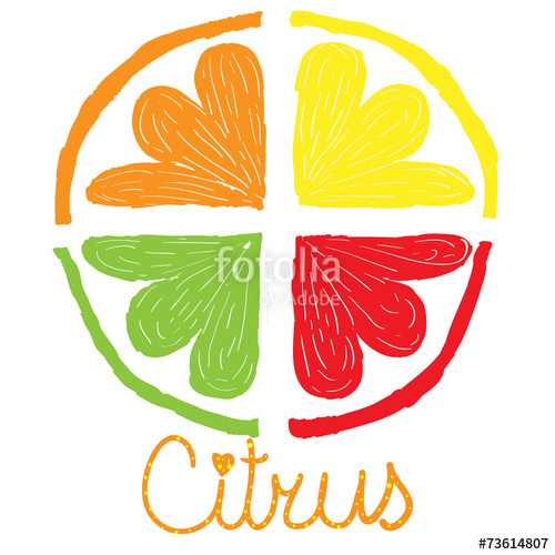 500x500 citrus hand drawing lime lemon orange grapefruit stock image