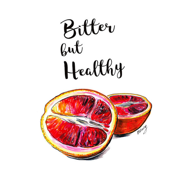 600x600 Grapefruit Drawings Fine Art America