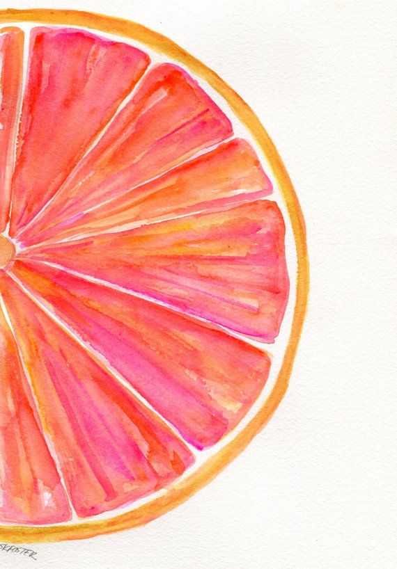 570x818 grapefruit watercolor painting original, ruby red citrus art x