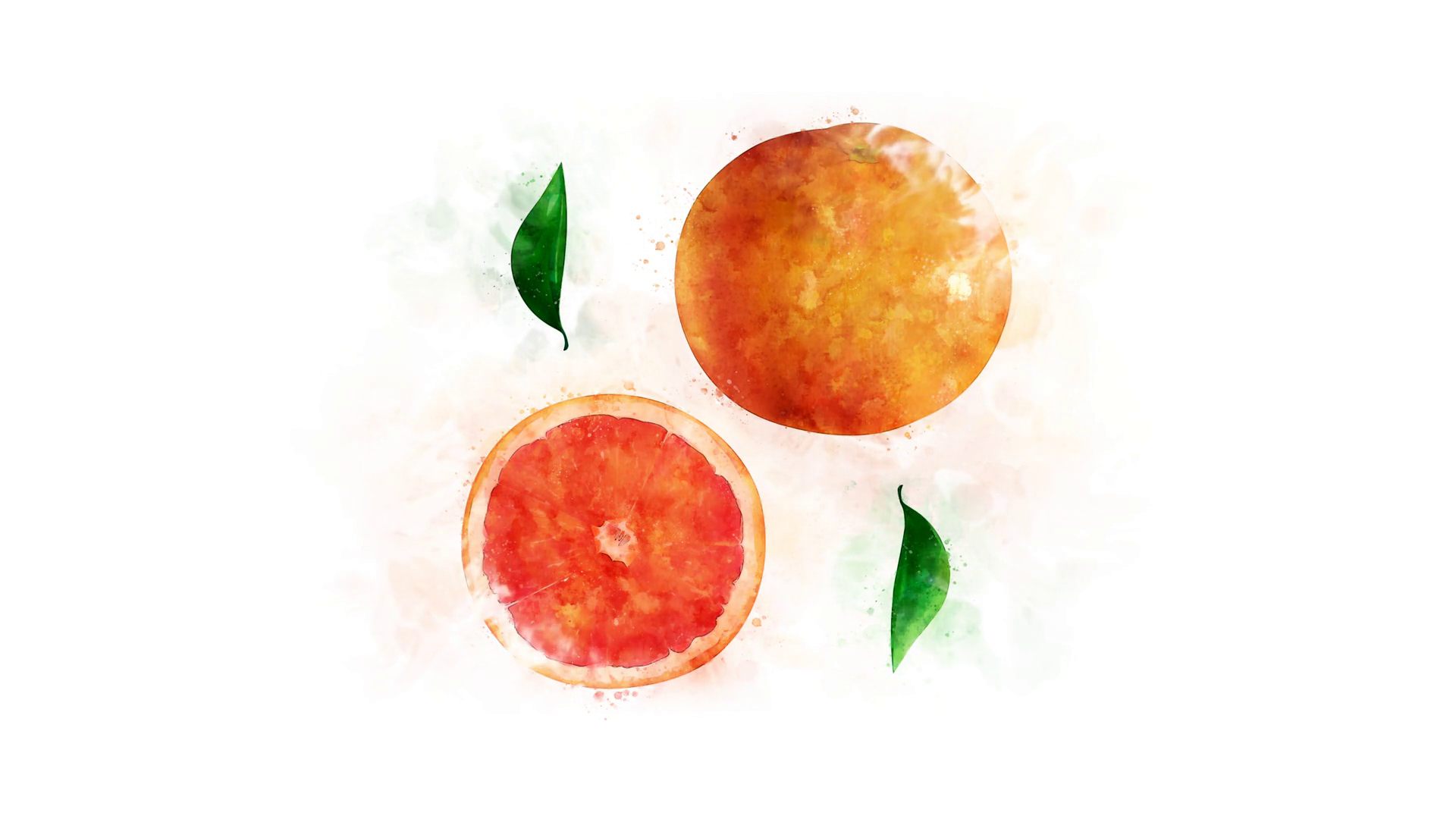 1920x1080 Grapefruit And Its Parts On The Alpha Channel Motion Background