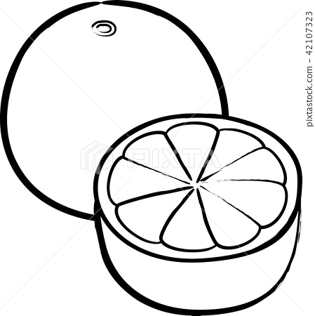449x450 Grapefruit Black And White Line Drawing Coloring Hand Drawn Wind