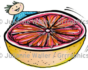 340x270 Grapefruit Clipart Etsy