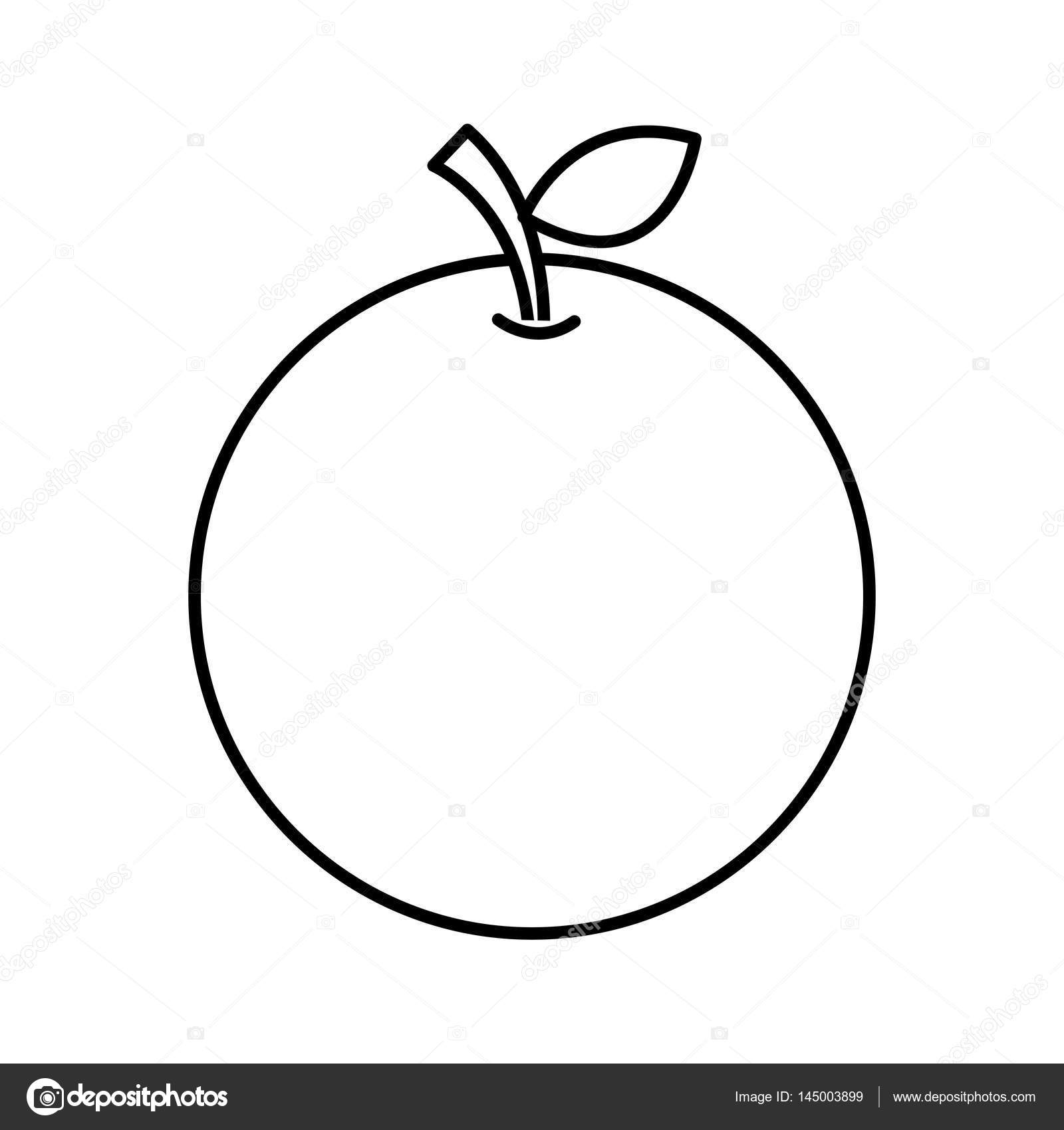 1600x1700 Grapefruit Drawing Orange Cartoon For Free Download