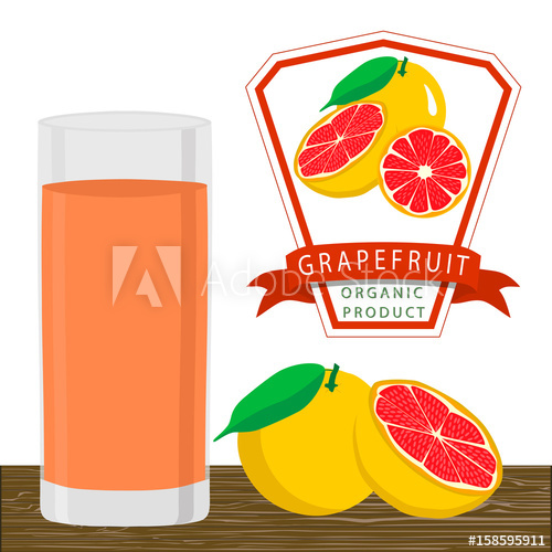 500x500 Abstract Vector Illustration Logo For Whole Ripe Fruit Orange
