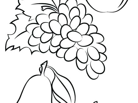 440x330 Grapes Coloring