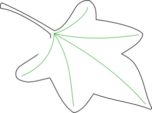 299x222 Collection Of Free Grapes Drawing Contour Download On Ui Ex